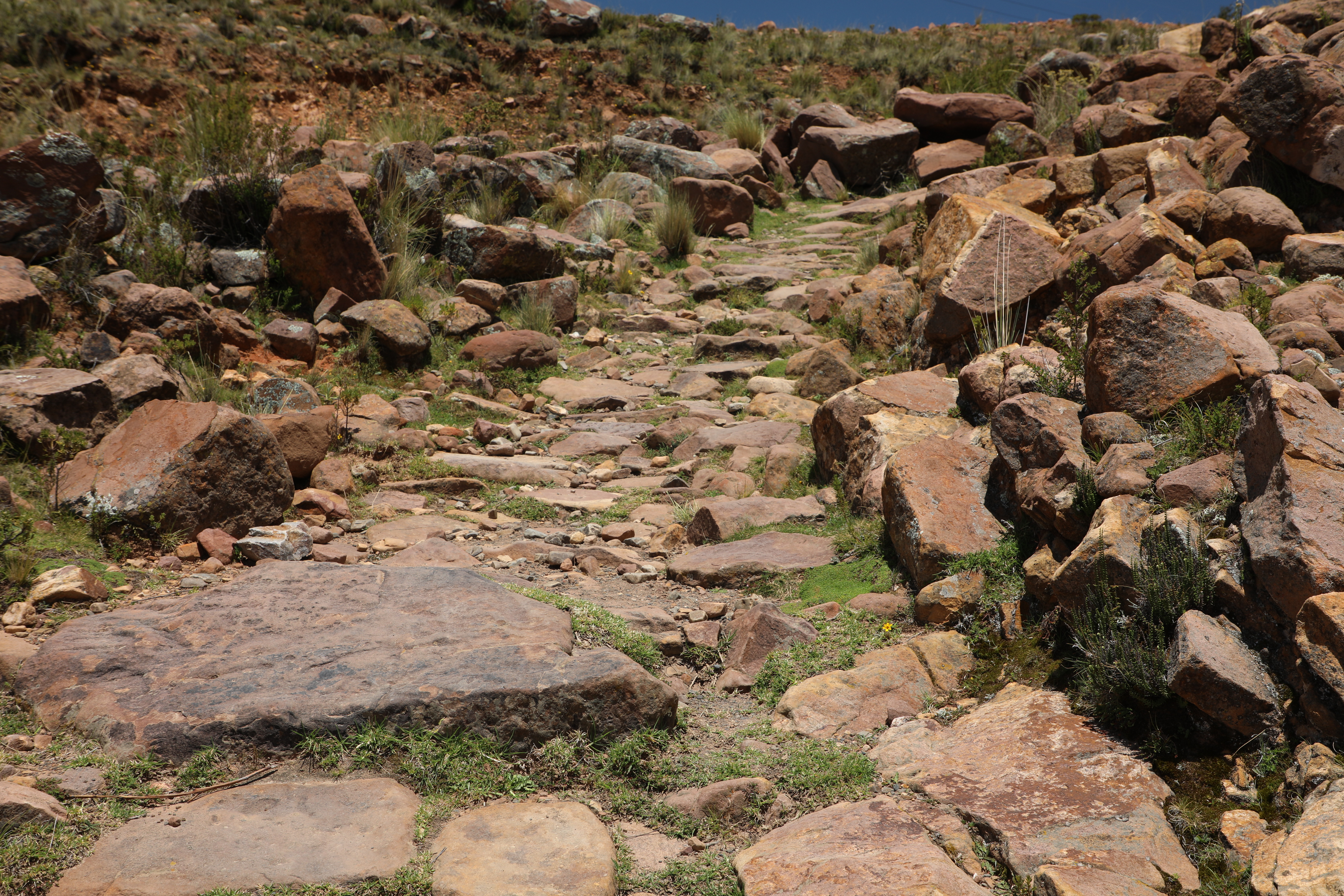 Camino precolombino Qhapaq Ñan